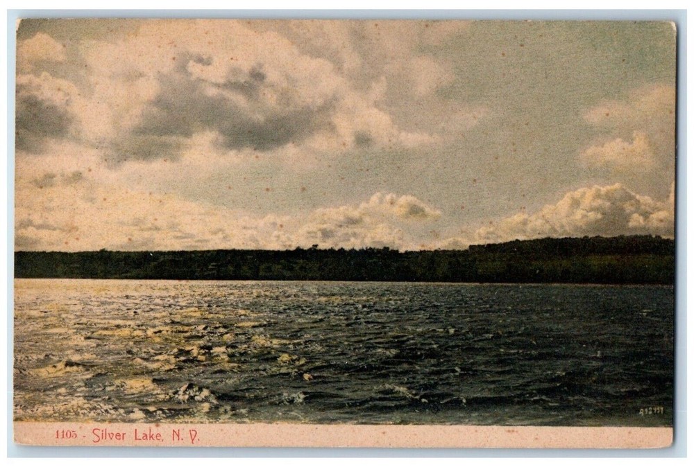 c1910 Sliver Lake Scenic View Mountains New York NY Antique Vintage Postcard