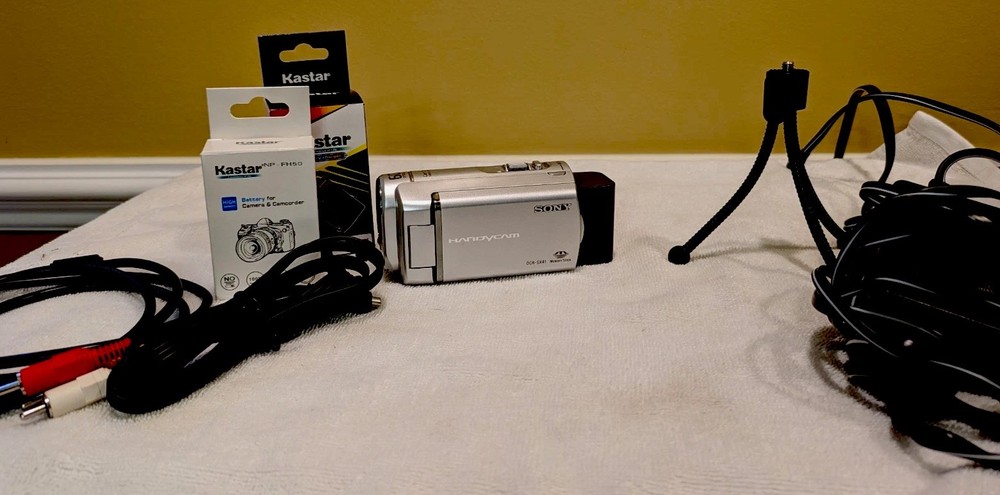 Sony Handycam DCR-SX41 with 60x optical zoom and 2000x digital zoom