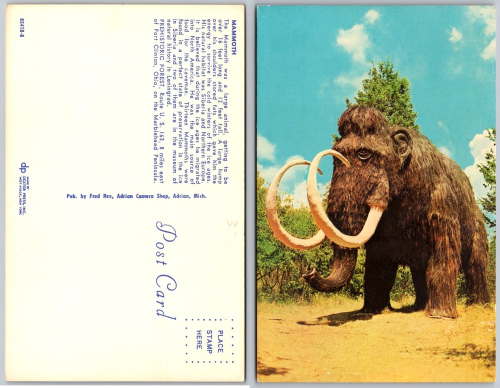 Mammoth Exhibit Adrian MI Postcard