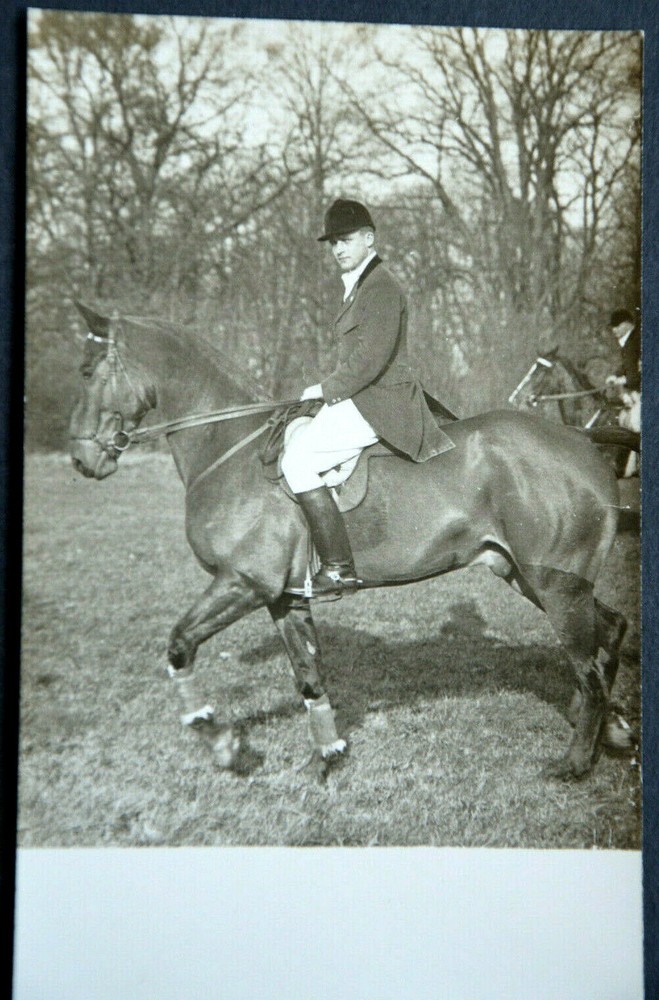 49593 AK Horses With Rider At The Edge Of The Forest