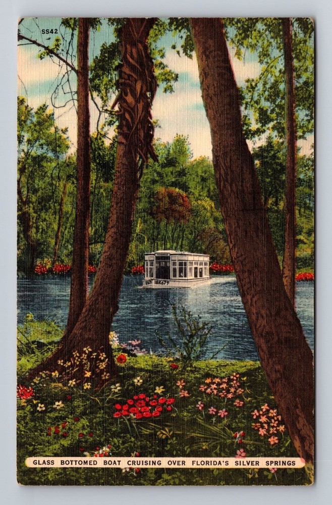 Florida FL Silver Springs Glass Bottomed Boat Cruising Vintage Postcard