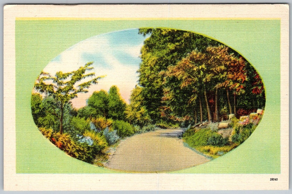 Vtg Linen Postcard Wooded Country Road 1930s