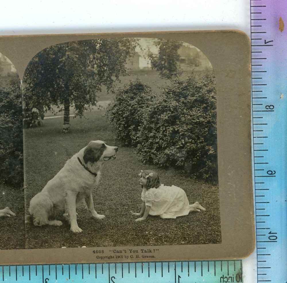 Can You Talk? Dog with Little Girl Children Universal Stereoview