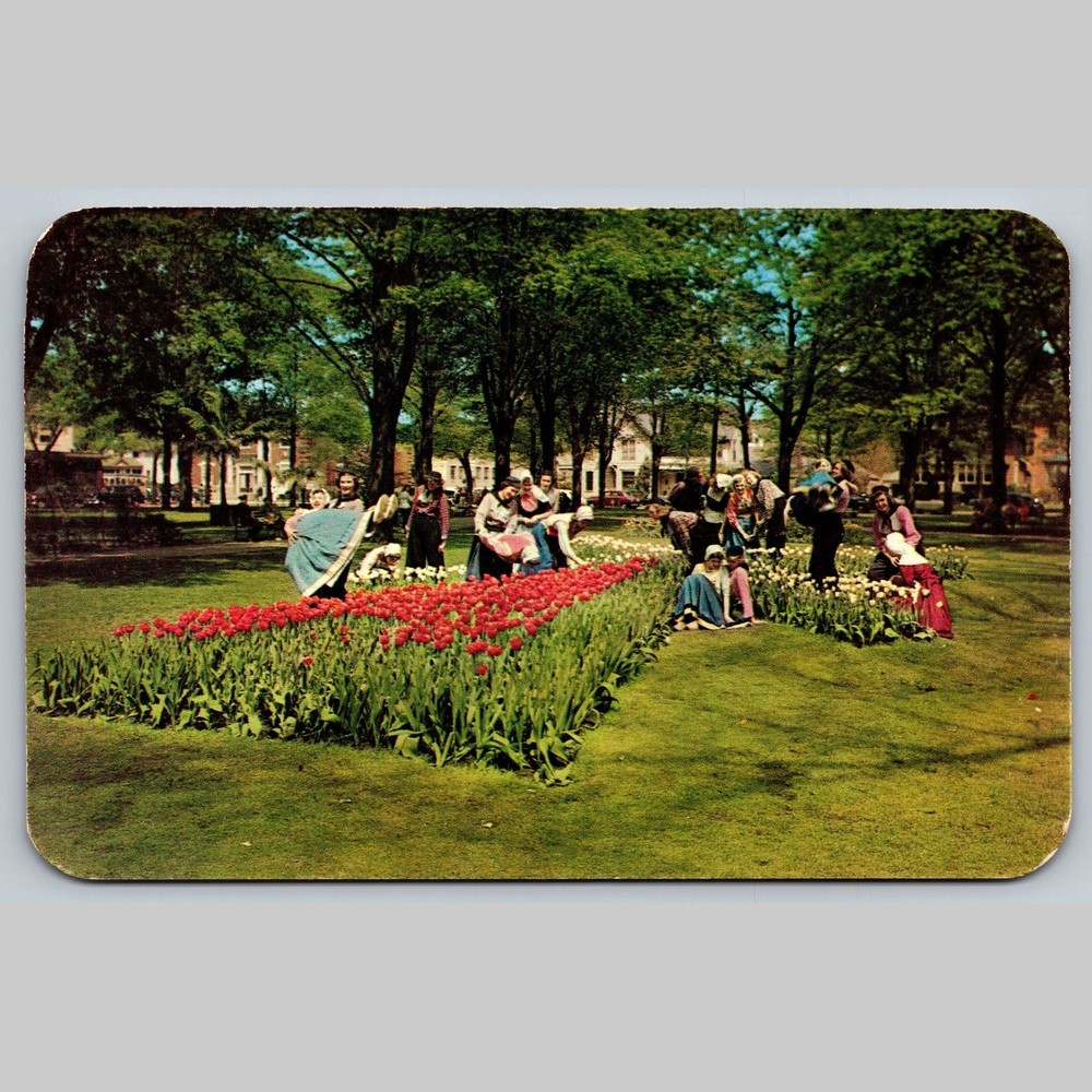 Postcard Tulip Time Festival Holland Michigan 1951