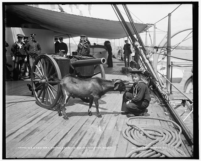 USS New York,Admiral Sampson's son,Pitch,mascot,goats,American Cruisers,1899
