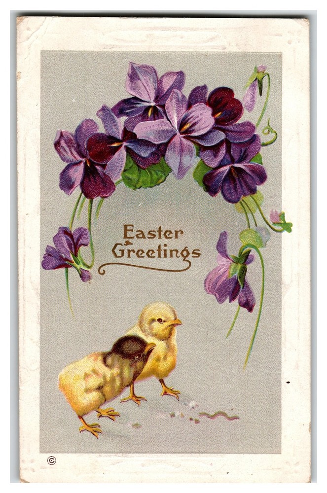 1913 Easter Greetings Postcard Chicks Purple Violets Ohio Postmark Vintage