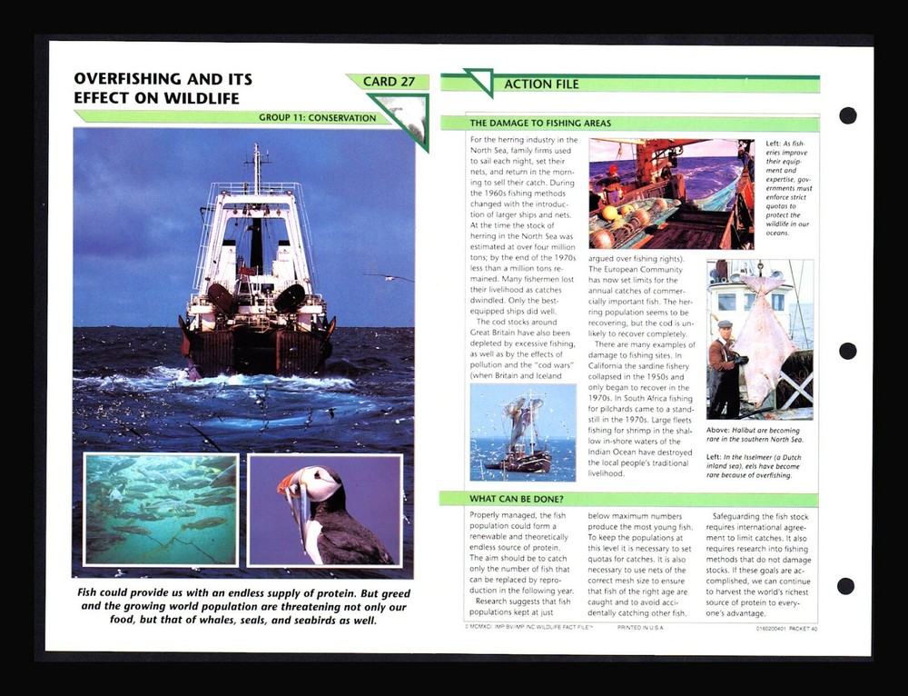 Overfishing Impacts Wildlife Fact File Card for Conservation and Homeschooling