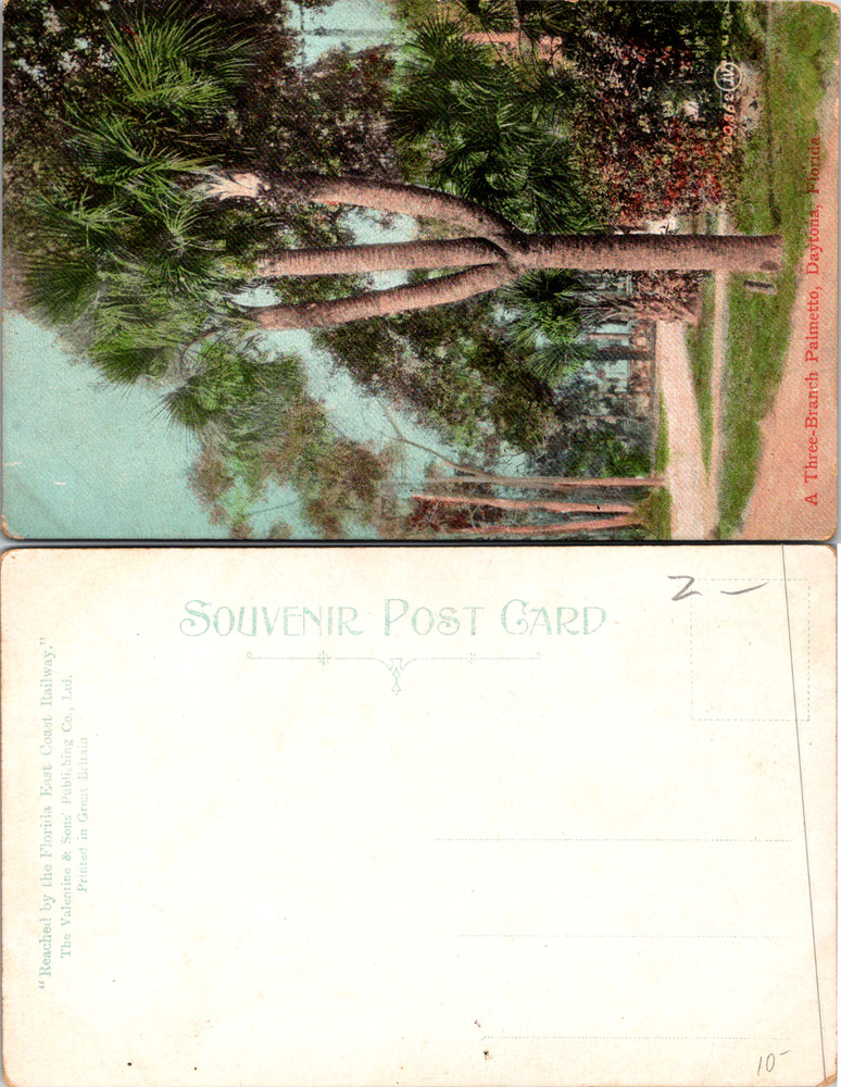 Old Vintage Postcard