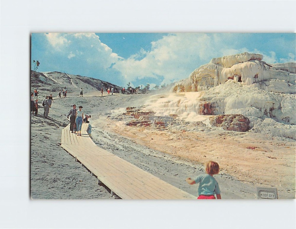 Postcard Minerva Terrace Mammoth Yellowstone National Park Wyoming USA