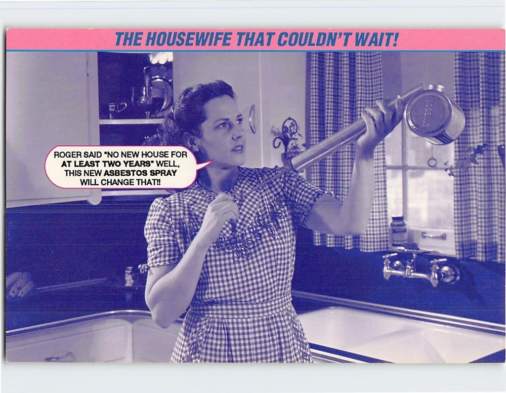 Postcard The Housewife That Couldn't Wait! Wife Humor Card