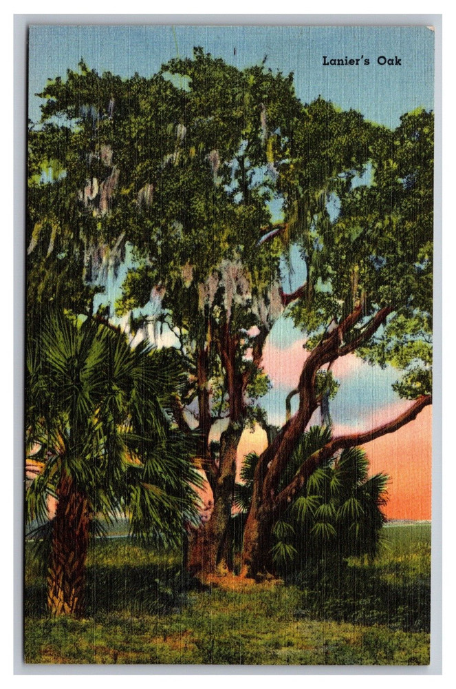 Brunswick GA Georgia Lanier's Oak Tree Sunrise Unposted Linen Postcard