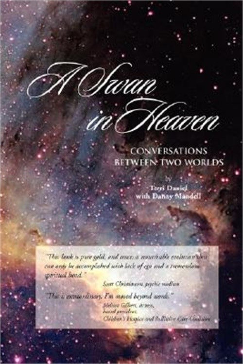 A Swan in Heaven: Conversations Between Two Worlds (Paperback or Softback)