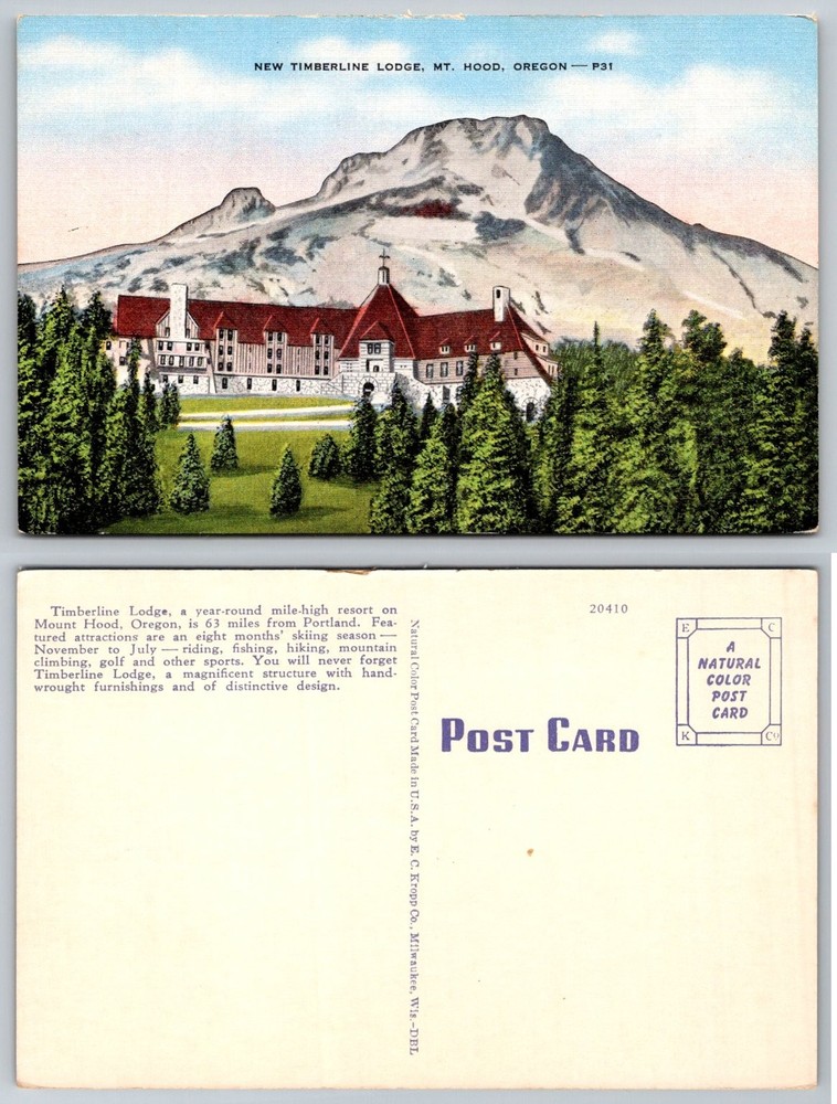 Vintage Timberline Lodge Mt Hood Oregon Natural Color Postcard Kropp P31