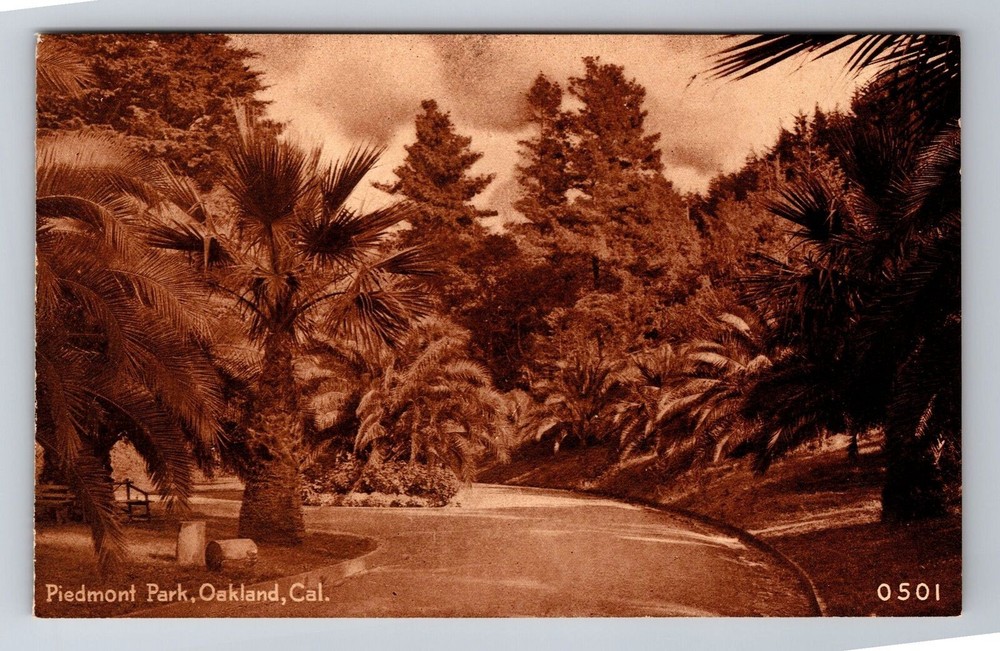 Oakland CA-California, Piedmont Park, Antique, Vintage Souvenir Postcard