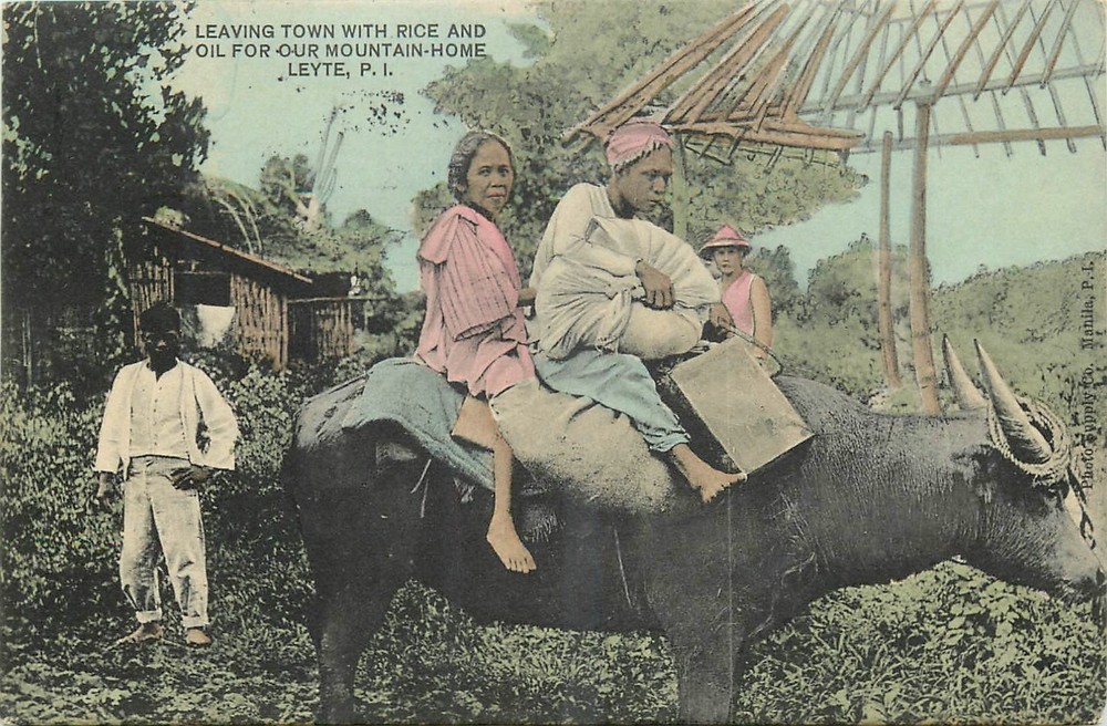 1904 Philippines Leyte Natives riding Buffalo Postcard 26-4797