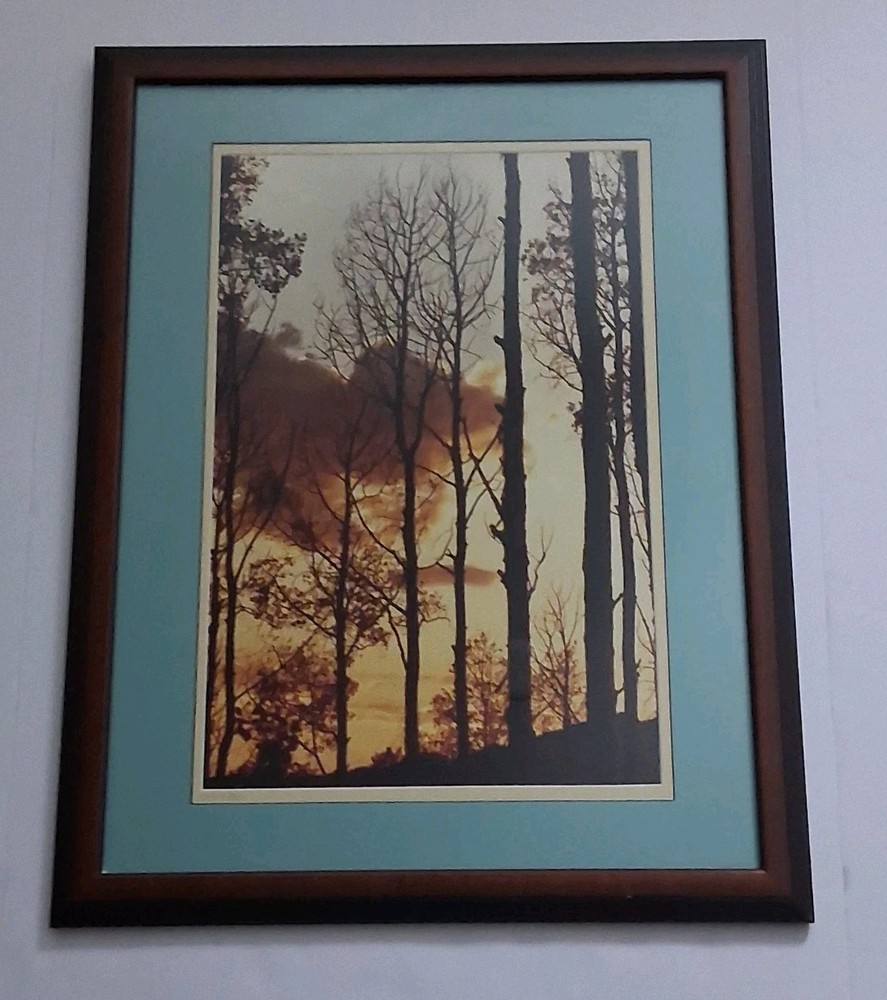 Framed Limited Edition Photograph — Sunset Silhouette Forest — Signed & Numbered