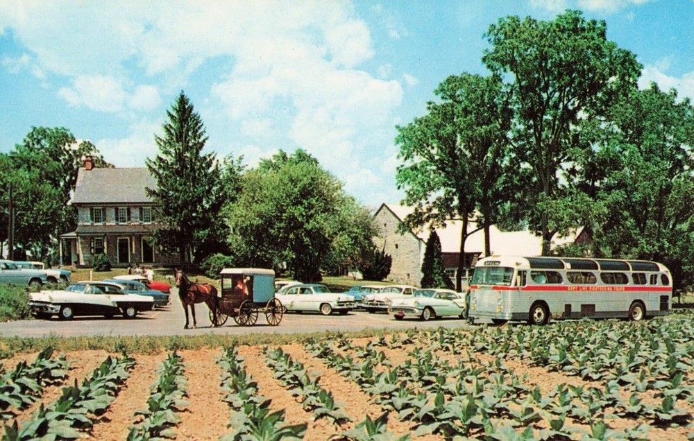 Amish Farm & House - Horse & Buggy - Lancaster Pennsylvania PA - Postcard
