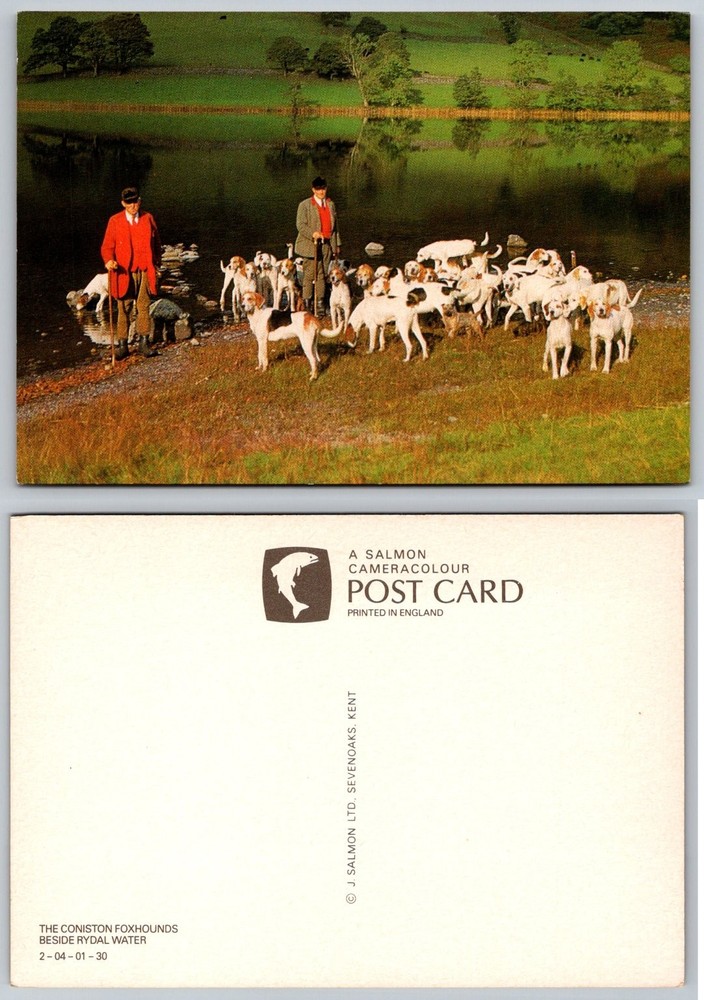 Coniston Foxhounds Rydal Water Lake District Postcard J Salmon