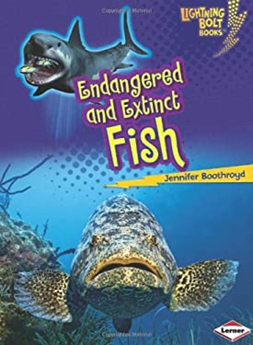 Endangered and Extinct Fish Library Binding Jennifer BoothroydFree US Delivery | ISBN:1467713317