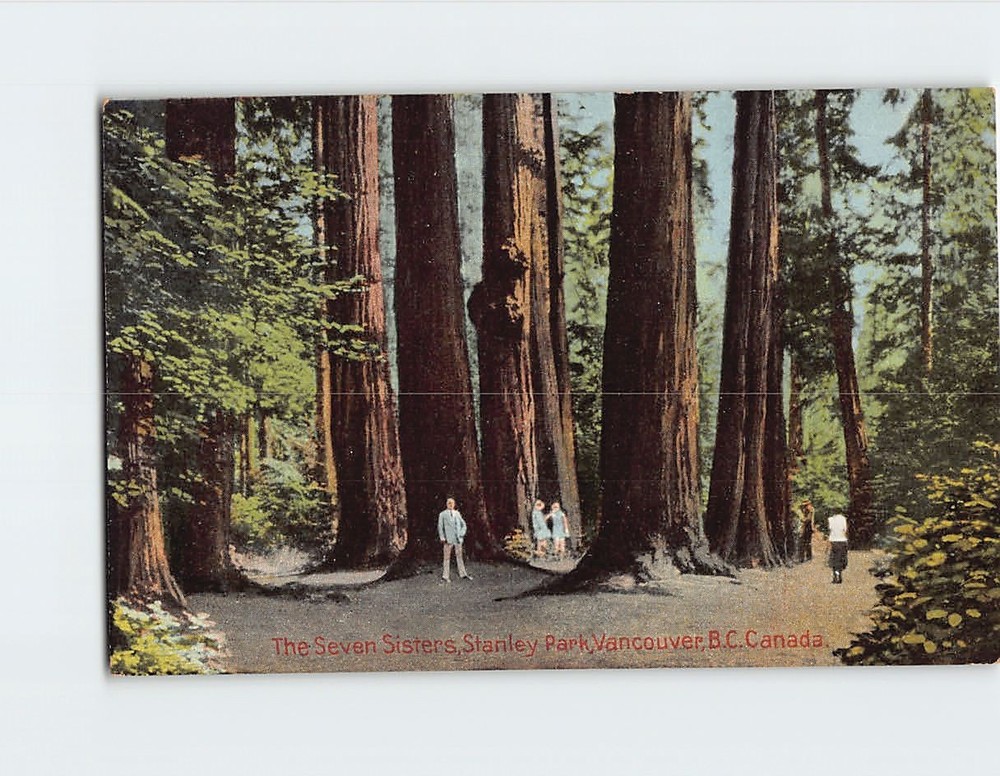 Postcard Seven Sisters Stanley Park Vancouver BC Canada