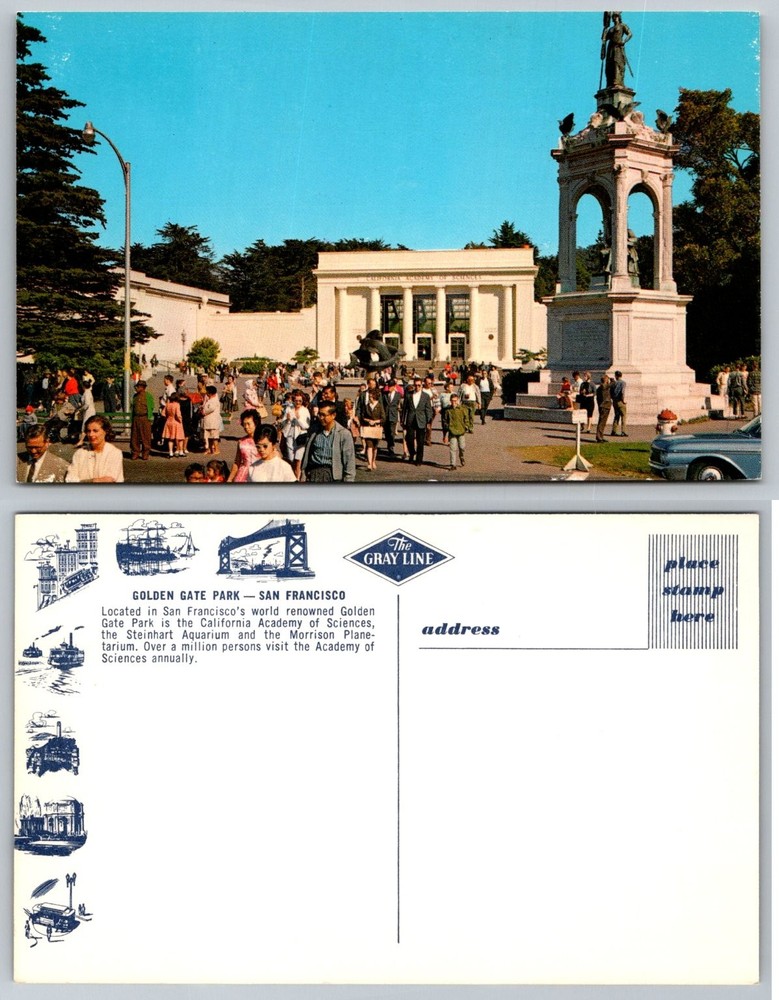 Vtg San Francisco Postcard California Academy of Sciences Golden Gate Park-image
