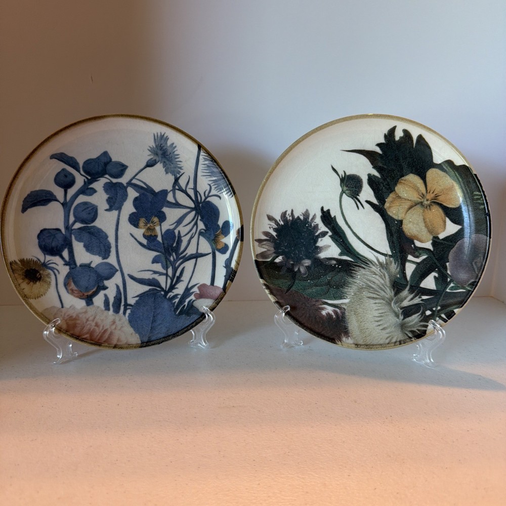 Pier 1 Imports Floral Bloom Ironstone Salad Plates Set Of 2