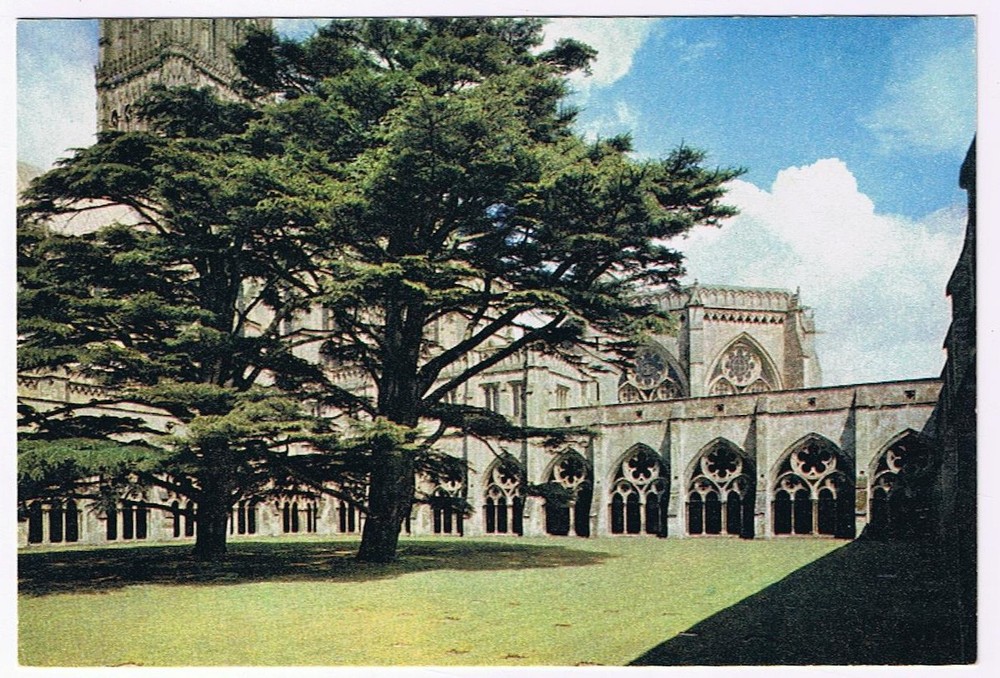 Postcard Wiltshire England UK Salisbury Cathedral The Cloisters