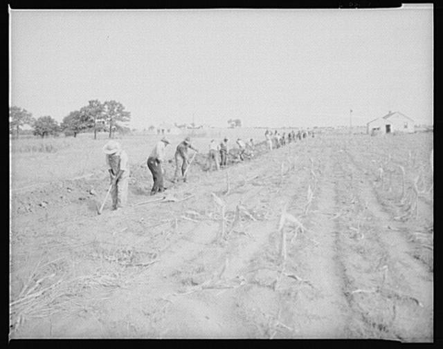 Dalworthington Gardens,Texas,Tarrant County,Farm Security Administration,FSA