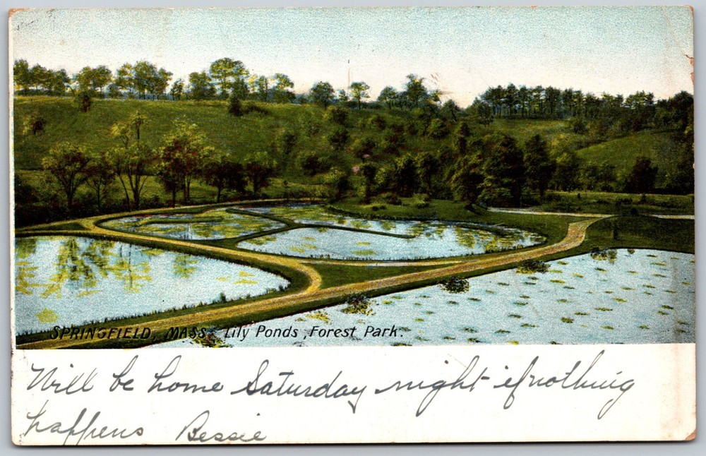 1906 Lily Ponds Forest Park Springfield Massachusetts ANTIQUE Postcard 8000