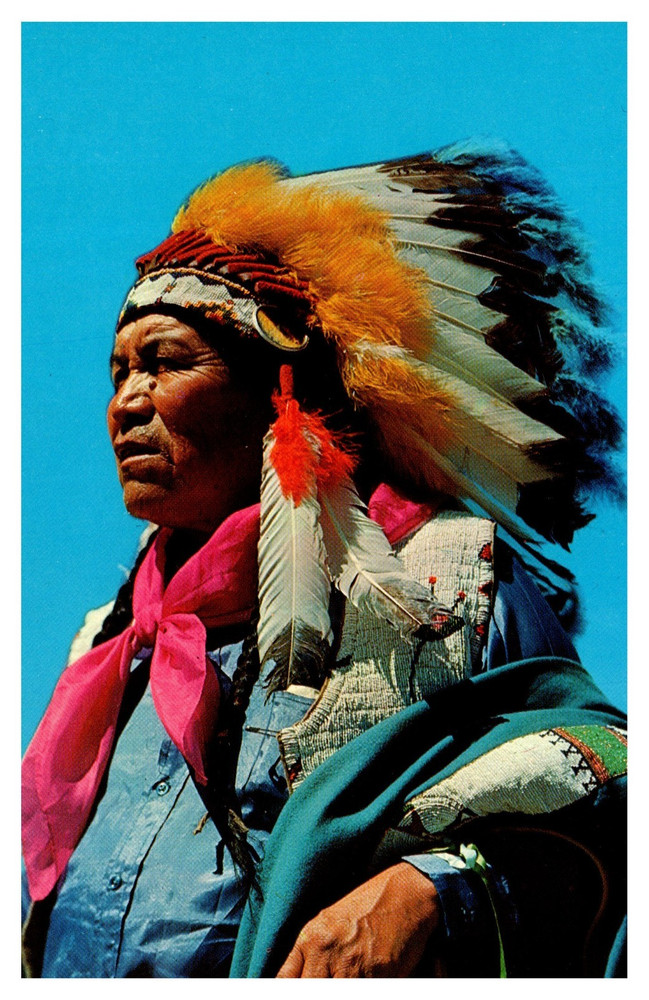 NM New Mexico Apache Indian Headdress Chrome Postcard