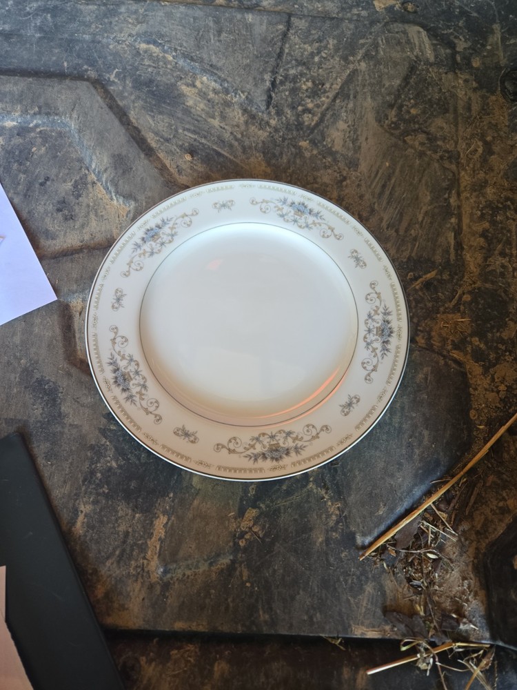 VTG Fine Porcelain China Dinner Plate 10.25