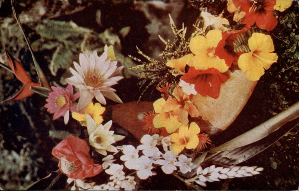 Honolulu Hawaii Island Flowers arrangement Hibiscus unused vintage postcard