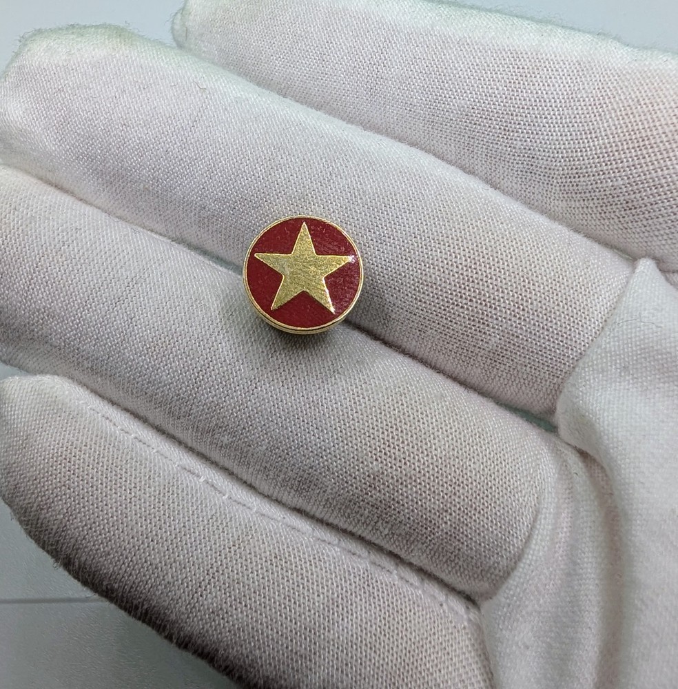Vintage Gold Star Red Enamel Circle Military or Merit Lapel Pin