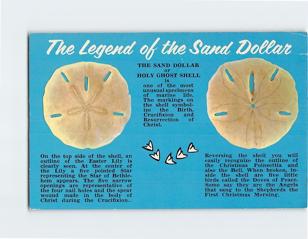 Postcard The Legend of the Sand Dollars