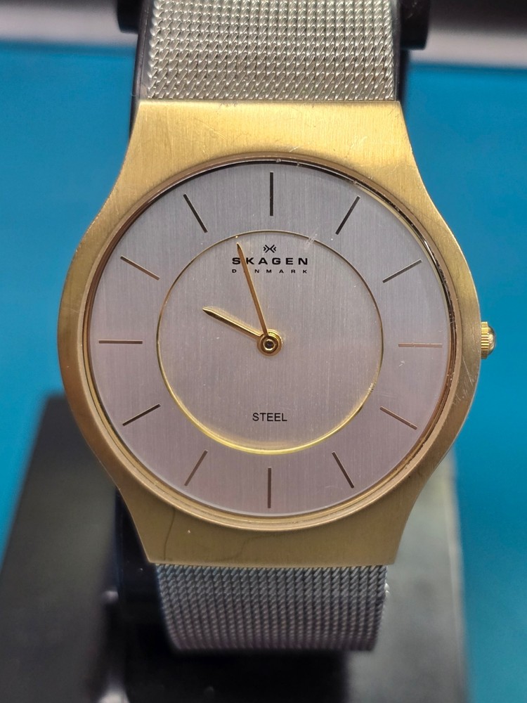 Working Skagen Two-Tone Men's Mesh Band Wristwatch 233LGS / PJs