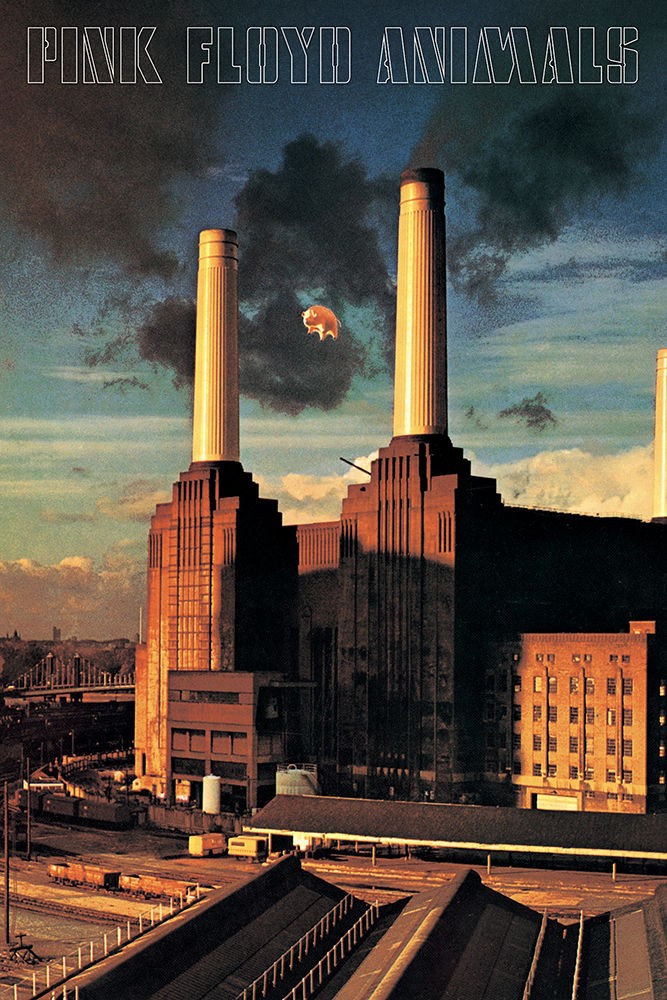 Poster Studio B - Pink Floyd Animals Classi Music Band 24x36