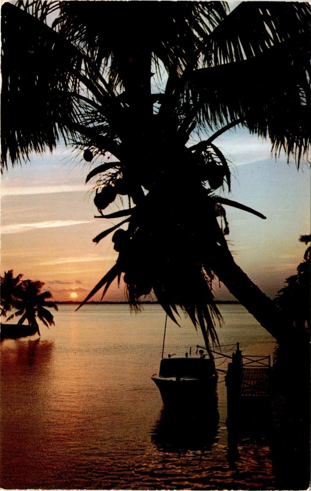 Fla, West Nyack, Dexter Press Inc. Postcard