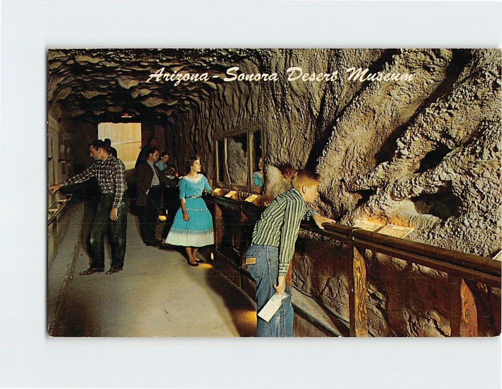 Postcard Underground Tunnel Arizona Sonora Desert Museum Tucson Arizona USA
