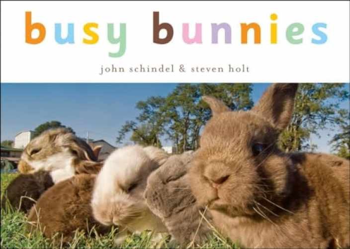 Busy Bunnies - Board book, by Schindel John - Very Good
