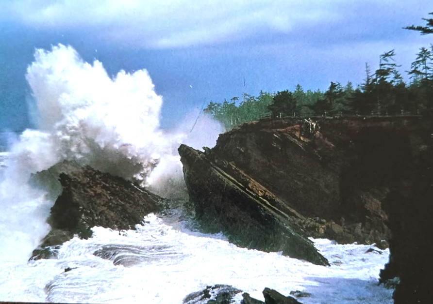 Postcard Shore Acres State Park Oregon Coast Coos Bay Waves