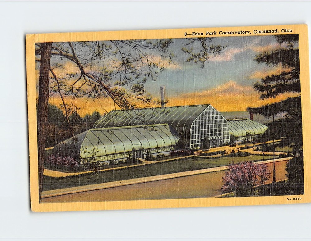 Postcard Eden Park Conservatory Cincinnati Ohio USA