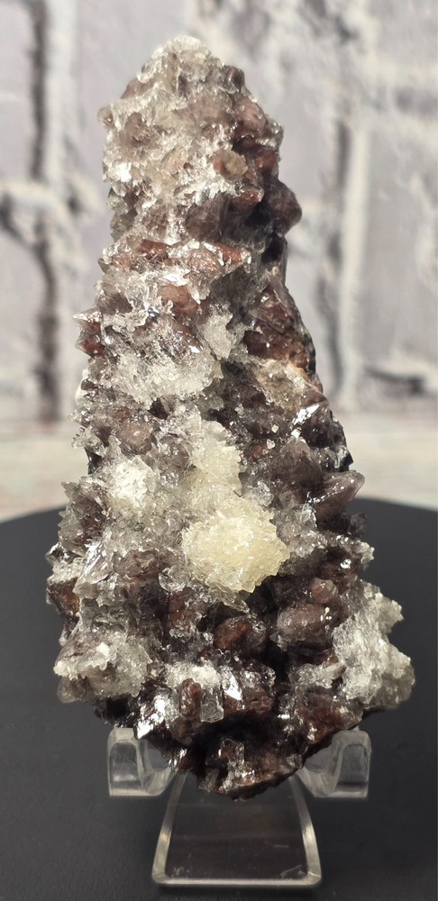 Quartz with Selenite on Dogtooth Calcite – Mexico – 74.05g