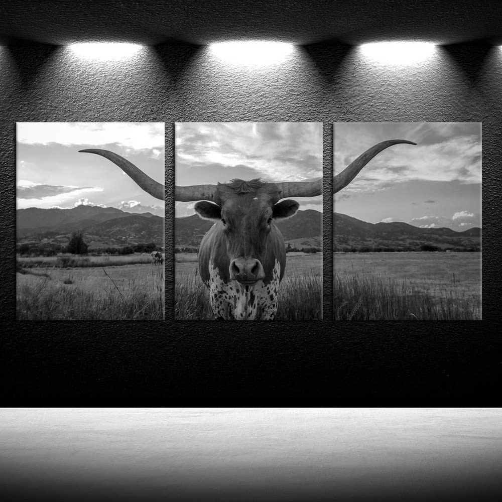 iKNOW FOTO Farm Animals Art Prints Black and White Highland Cattle with Long ...