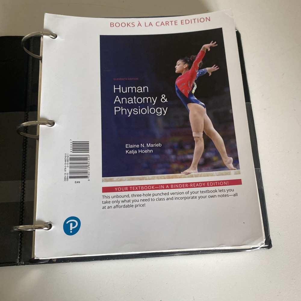 Human Anatomy and Physiology 11th Edition by Marieb (Loose-Leaf Edition, 2018)