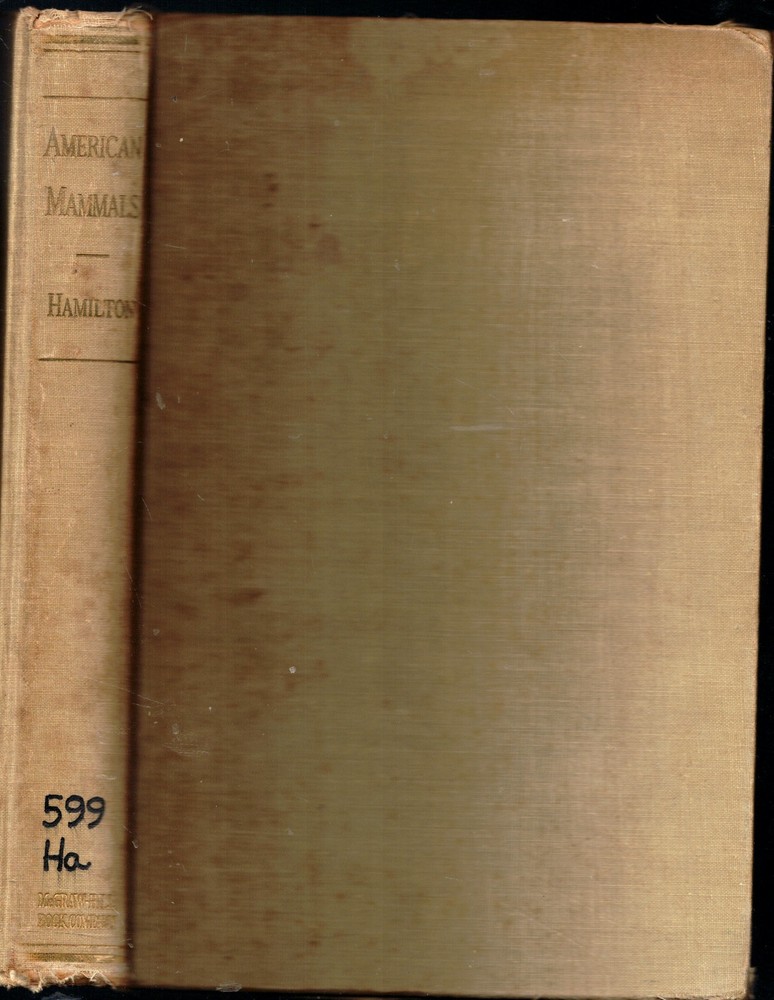 1939 American Mammals Sheep Whales Beavers Jaguars. Capybara Illustrated First