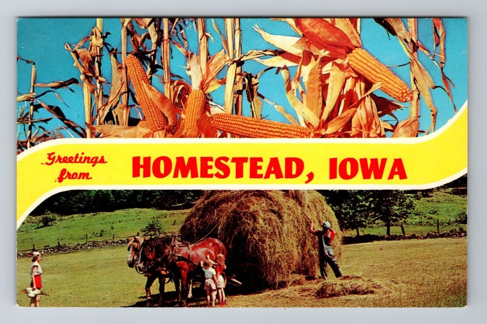 Homestead IA-Iowa, Scenic Banner Greetings, Farm, Antique, Vintage Postcard
