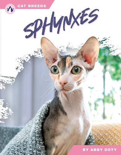 Abby Doty Sphynxes (Hardback) Cat BreedsAnother great item from Rarewaves USA | Free delivery!