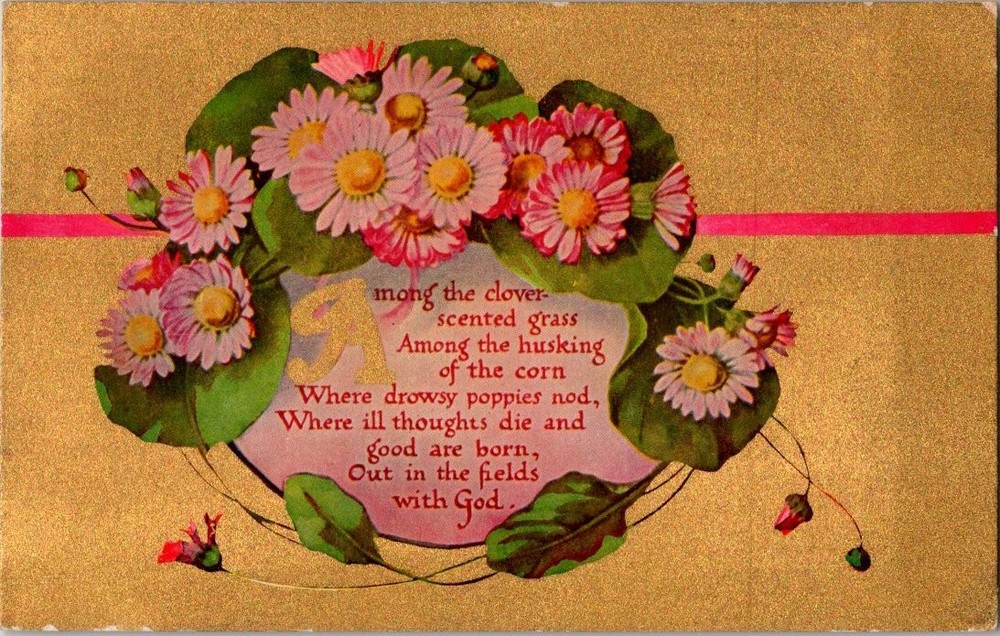 1910 Embossed Gold Daisies Floral Postcard 