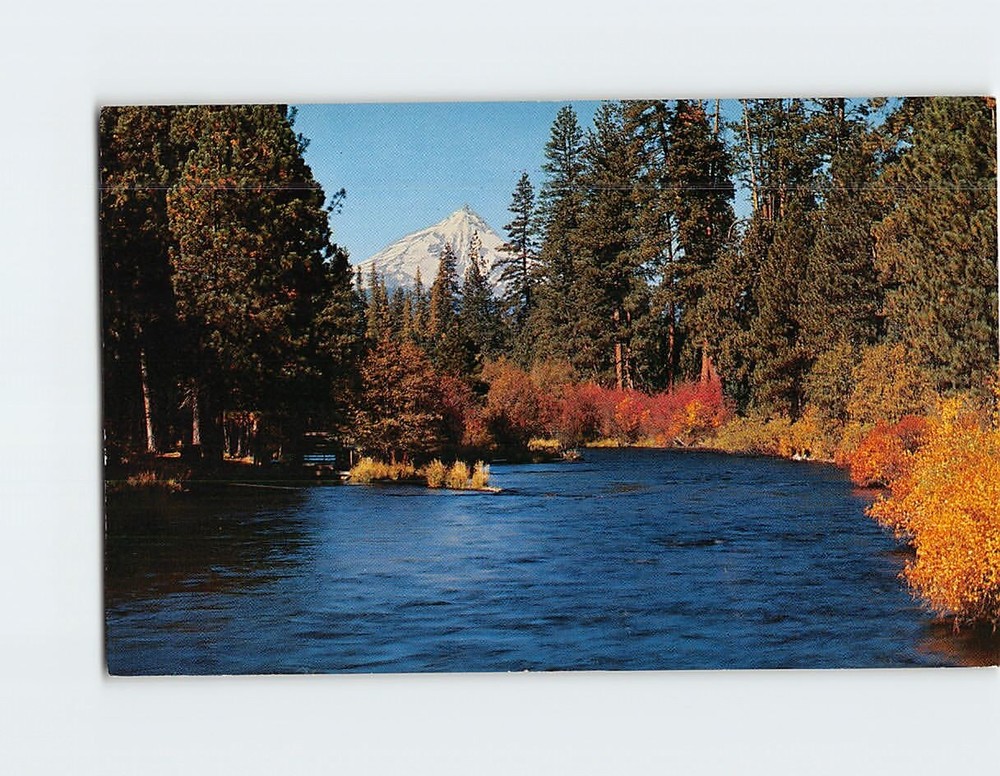 Postcard Metolius River and Mt. Jefferson Central Oregon USA