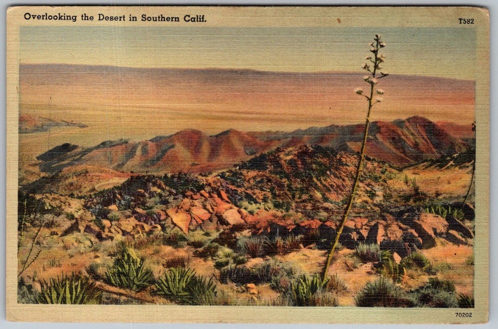 Vtg Linen Postcard Desert Overlook Vista Southern California, CA 1930s